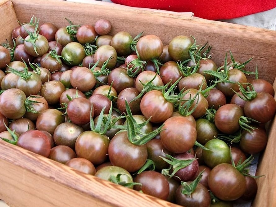 Cà chua socola có vị ngọt thanh, dễ chế biến với các món ăn đa dạng. Ảnh: Pixabay