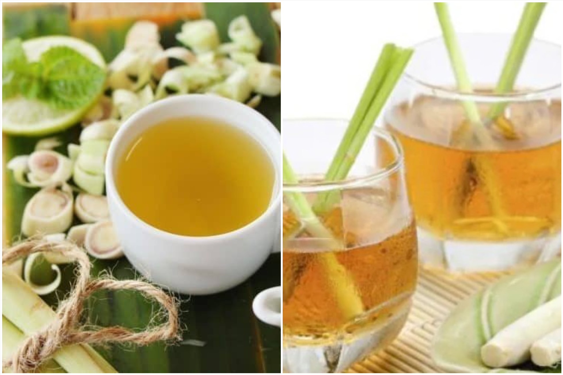 Trà sả có đặc tính chống viêm và chống ôxy hóa có thể cải thiện sức khỏe tiêu hóa tổng thể. Đồ họa: Thanh Thanh