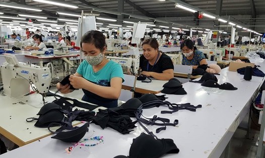 Các doanh nghiệp FDI tại Thanh Hoá đã tạo việc làm cho số lượng lớn lao động địa phương. Ảnh: Xuân Hùng