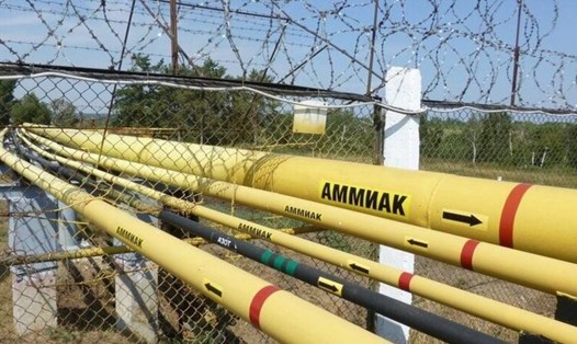 Đức nghi Ukraina đứng sau vụ phá hoại đường ống dẫn khí amoniac Togliatti-Odessa. Ảnh: Mind
