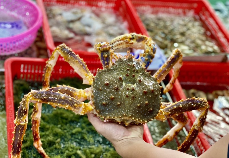 Có quán hải sản nào tại Đà Nẵng phục vụ các món hải sản tươi sống?
