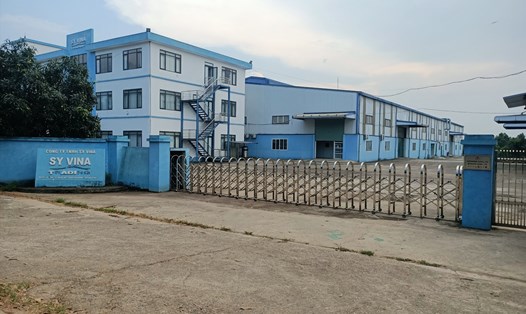 Trụ sở Công ty TNHH SY VINA (xã Hoàng Đàn, huyện Tam Dương). Ảnh: Khánh Linh