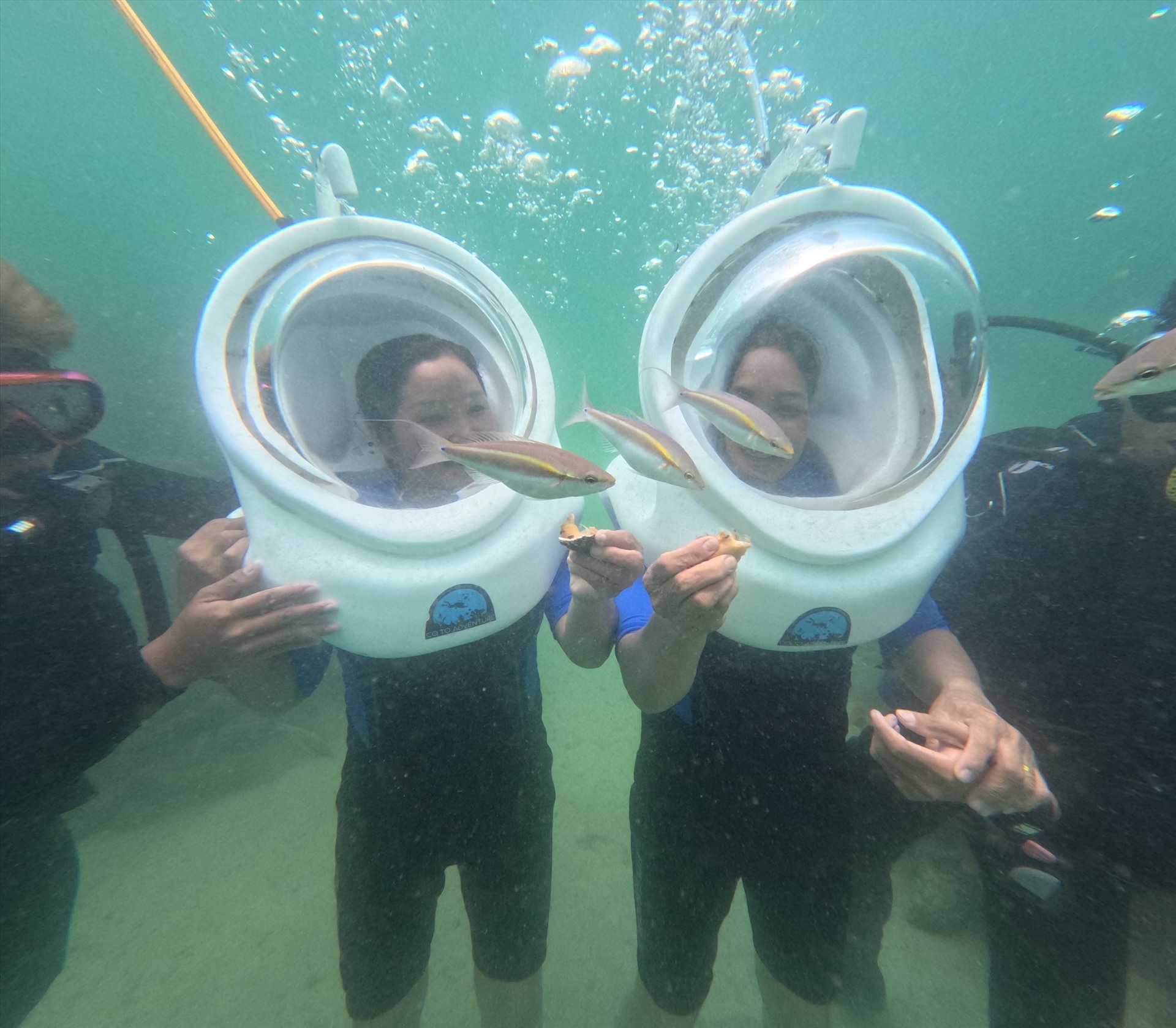 Du khách thích thú đùa với cá dưới đáy biển Cô Tô. Ảnh: Khám phá Cô Tô