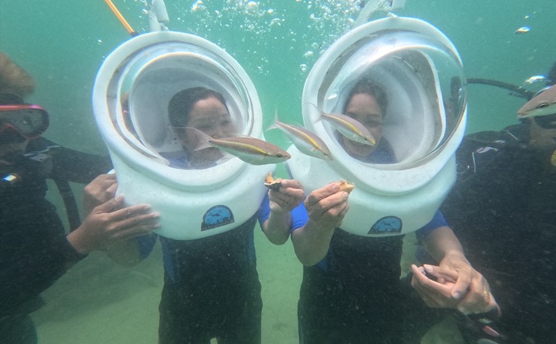 Du khách thích thú đùa với cá dưới đáy biển Cô Tô. Ảnh: Khám phá Cô Tô