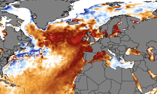 Bản đồ cho thấy sự bất thường về nhiệt độ trên bề mặt đại dương. Ảnh: Viện nghiên cứu biến đổi khí hậu Đại học Maine