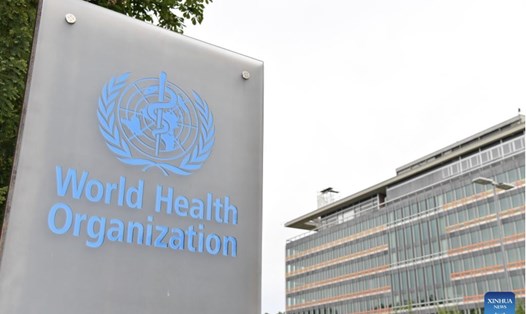Logo của Tổ chức Y tế Thế giới (WHO). Ảnh: Xinhua