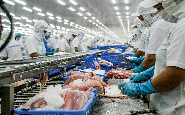 Nương nhờ xuất khẩu, giá cá tra sẽ phục hồi trong nửa cuối năm