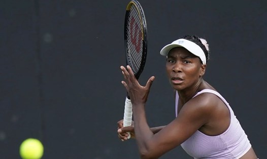 Venus Williams sẽ trở lại với nội dung đơn nữ tại Wimbledon 2023. Ảnh: Marca