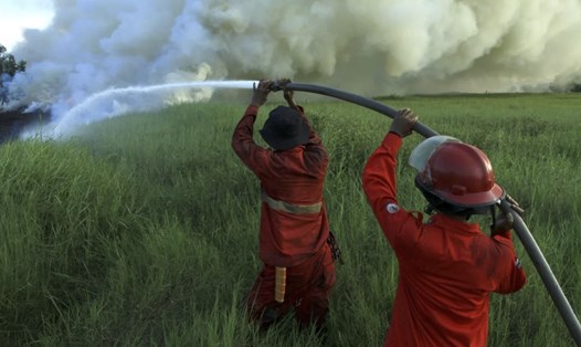 Lính cứu hỏa chữa cháy ở tỉnh Nam Sumatra của Indonesia. Ảnh: Tân Hoa xã