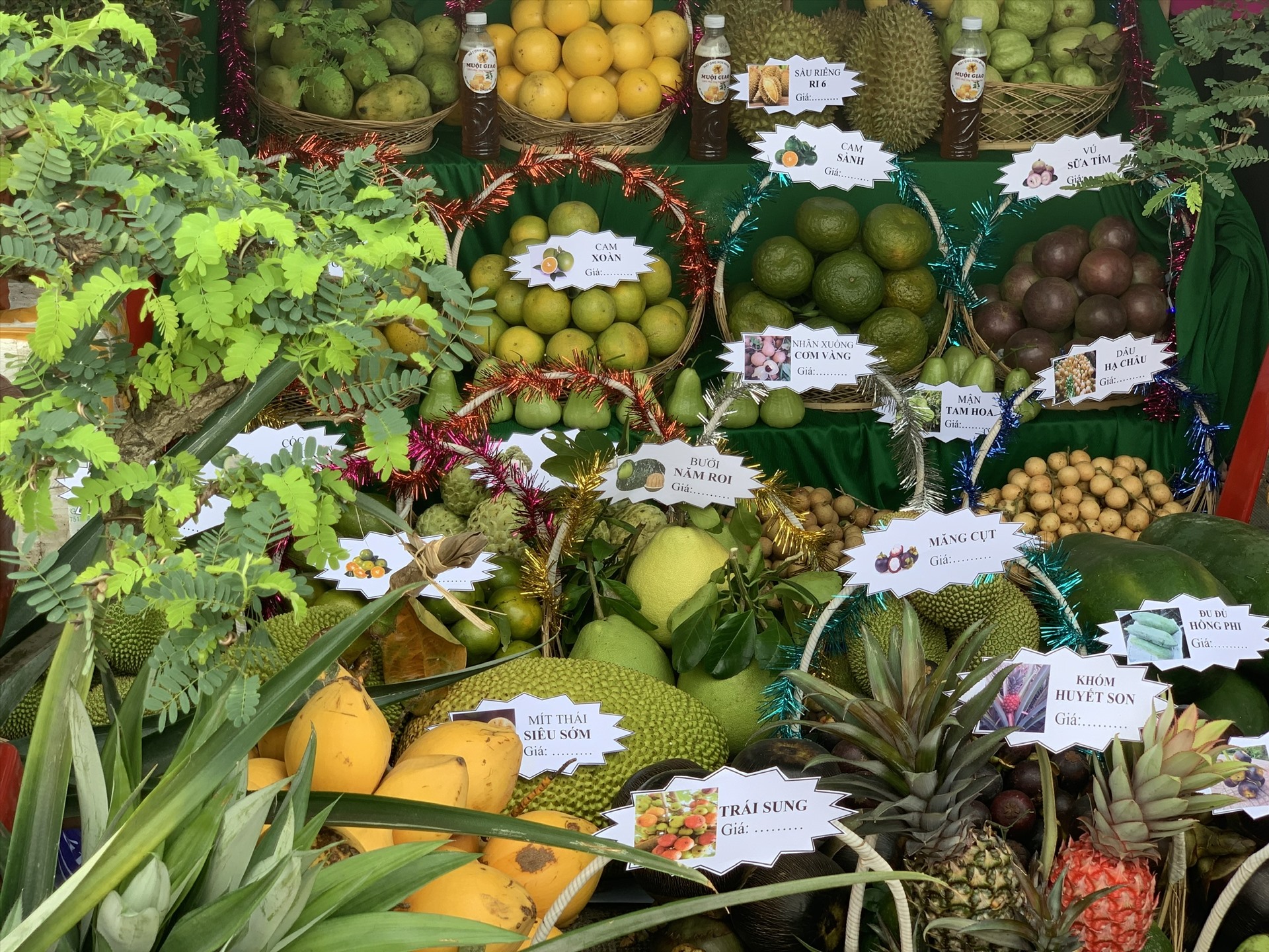Nhiều loại trái cây đặc sản của huyện Kế Sách được trưng bày tại Ngày hội. Ảnh: Phương Anh
