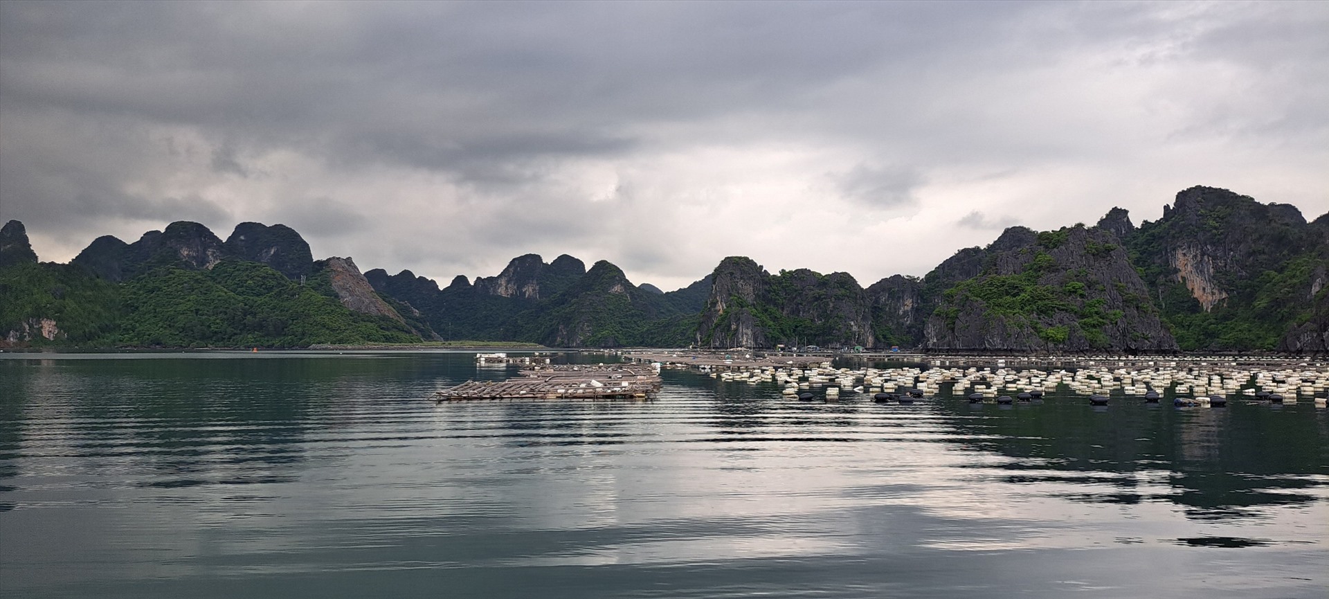 Trên vùng biển TP.Cẩm Phả vẫn còn khá nhiều lồng bè nuôi trồng thủy sản có sử dụng phao xốp. Ảnh: Nguyễn Hùng