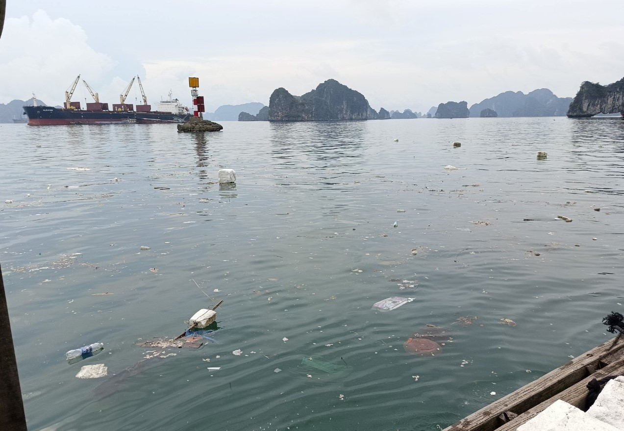 Phao xốp lại trôi kín mặt vịnh Hạ Long những ngày gần đây. Ảnh: Nguyễn Hùng