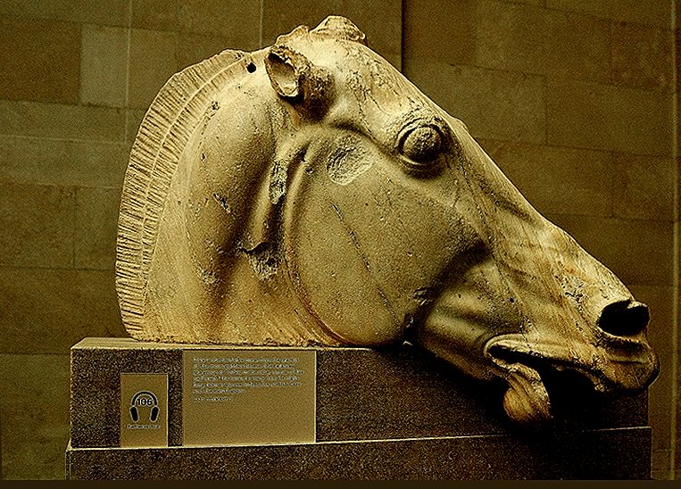 Đầu ngựa được trưng bày tại bảo tàng Anh.