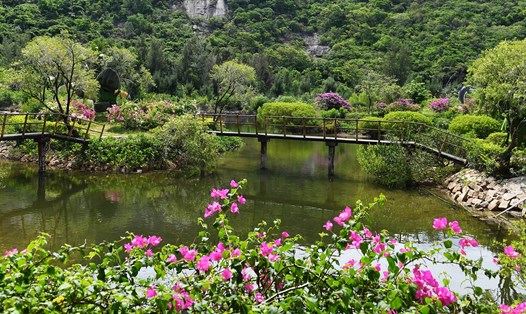 Đảo Hoa Lan được coi là vương quốc của hoa.