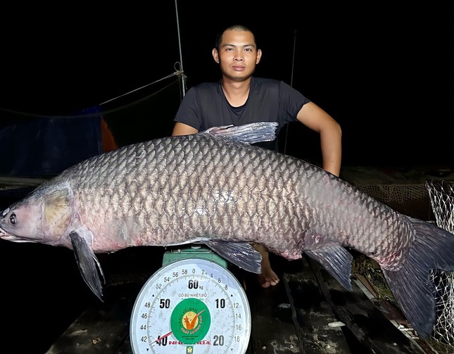 “Thuỷ quái” Khe Là mà Khánh Hoà câu được ngày 15.6.2023. Ảnh Hữu Phú