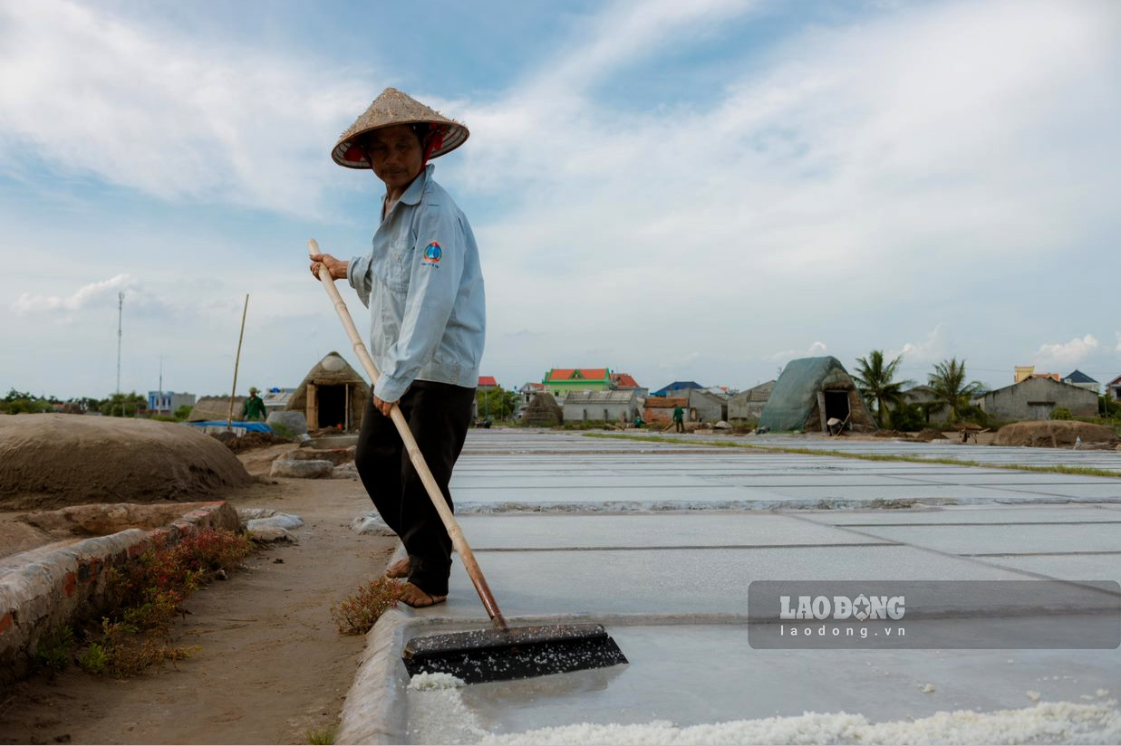 Những ngày hè nắng chói chang, hàng chục người dân xã Bạch Long (huyện Giao Thủy) vẫn cần mẫn lao động để tạo ra những hạt muối trắng tinh khiết.