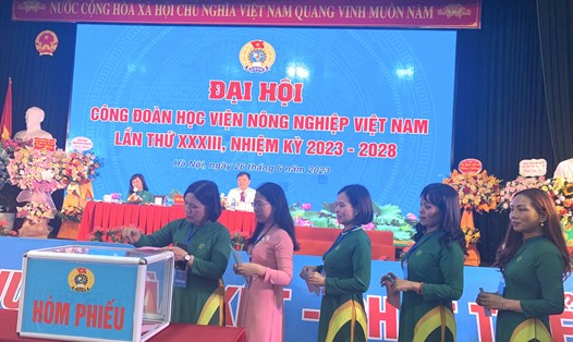 Các đoàn viên thực hiện công tác bầu cử tại Đại hội lần thứ XXXIII Công đoàn Học viện Nông nghiệp Việt Nam. Ảnh: Hương Mai