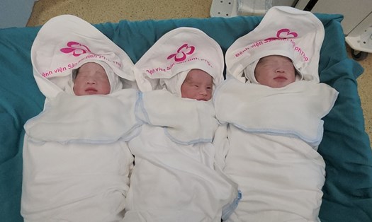 Hình ảnh 1 bé trai và 2 bé gái trong ca tam thai chào đời khoẻ mạnh. Ảnh: Bệnh viện cung cấp