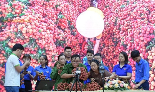 Thanh niên tỉnh Bắc Giang được tập huấn bán hàng bằng hình thức livetream tại diễn đàn chuyển đổi số. Ảnh: VGP