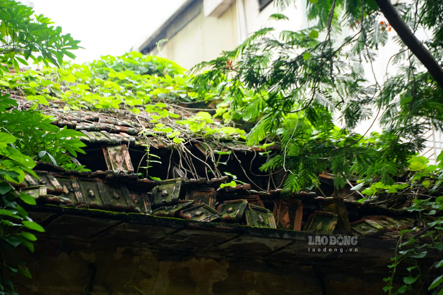 Phần mái của căn nhà bị hư hỏng nặng, nên cứ mỗi khi trời mưa ẩm thấp, từng mảng tường lại bị bong tróc, rơi vãi xuống đường.