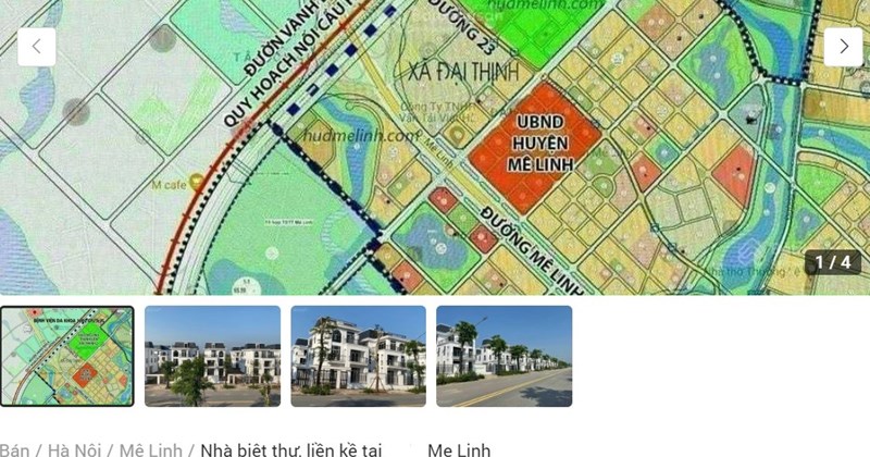 laodong.vn