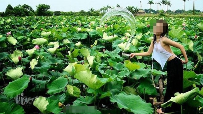 Trào lưu diện áo yếm phản cảm chụp cùng hoa sen đã kéo dài nhiều năm. Ảnh: chụp màn hình