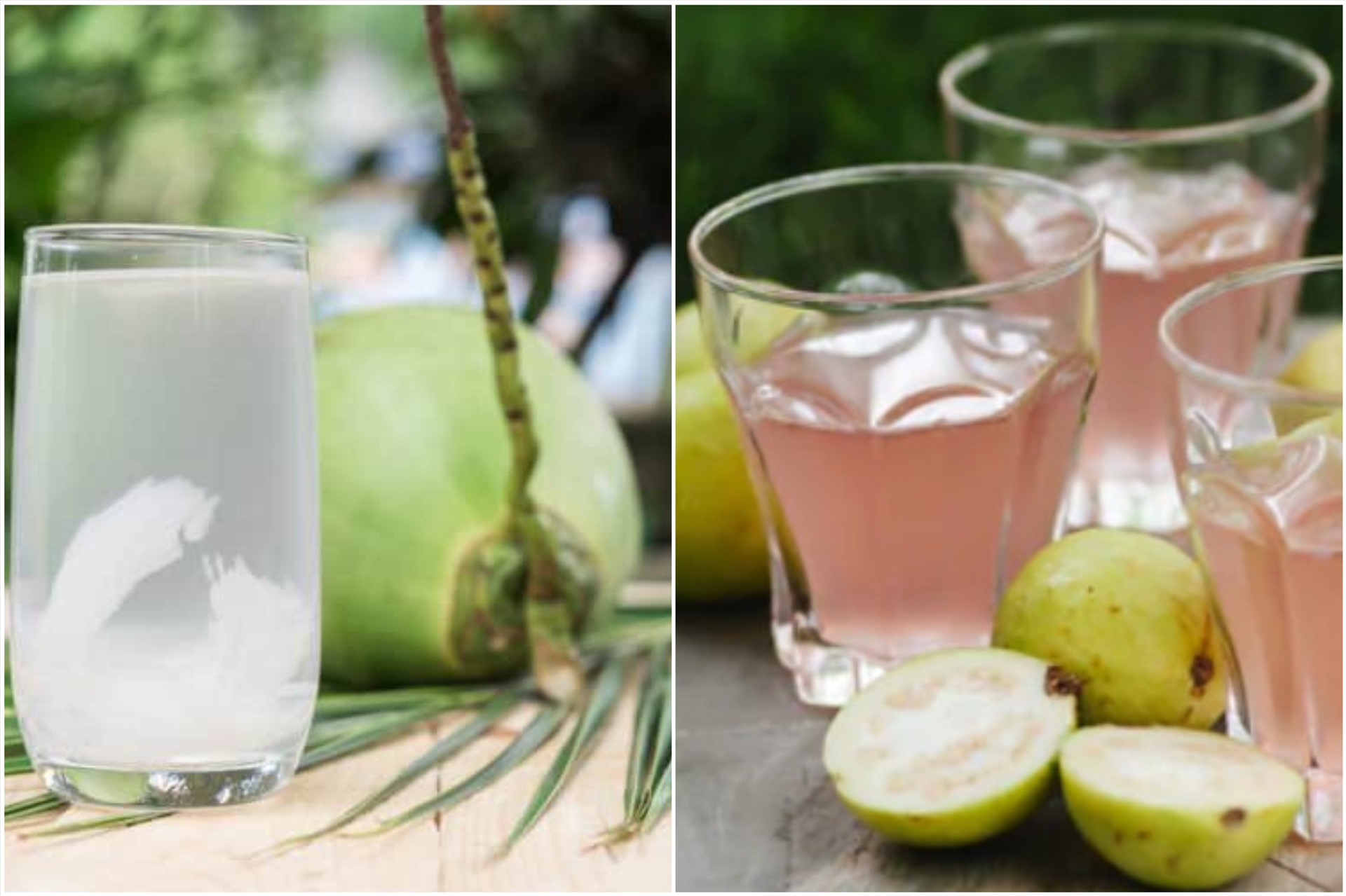 Thức uống từ dừa và ổi giúp kiểm soát lượng đường trong máu. Đồ họa: Thanh Thanh 