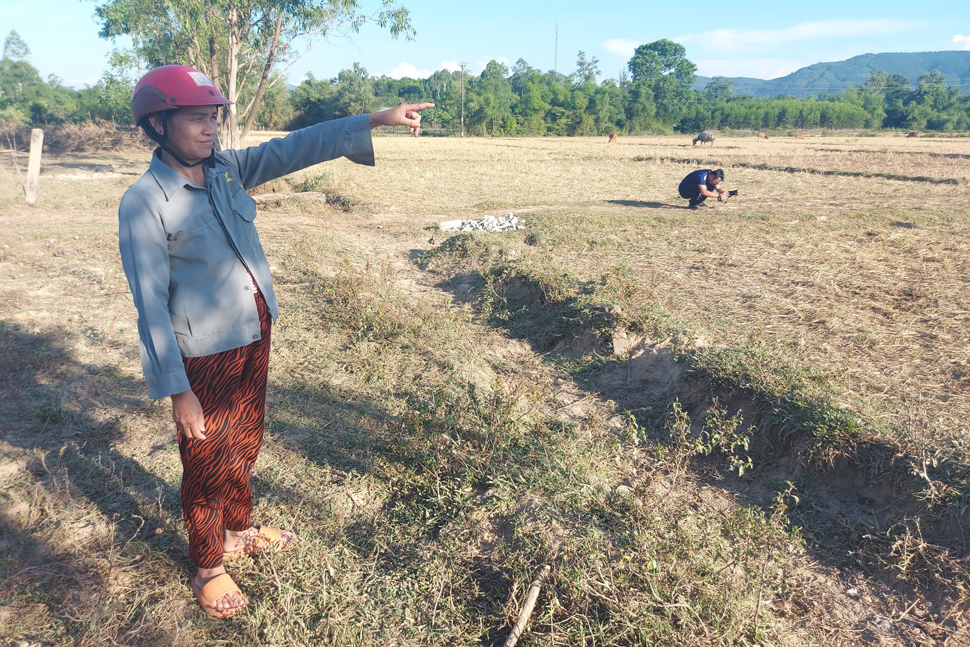 Bà Dịu tiếc nuối khi hàng năm gia đình có đến 7 sào đất ruộng phải bỏ hoang vụ hè - thu vì không có nước tưới. Ảnh: Trần Tuấn.