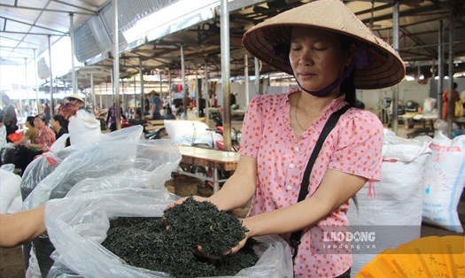 Chợ chè Phúc Xuân trở thành điểm đến quen thuộc của những người yêu văn hóa trà. Ảnh: Lam Thanh
