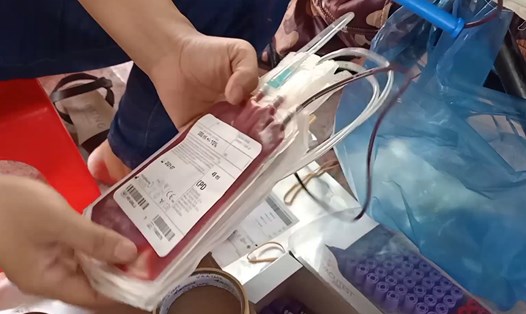 Bệnh viện Đa khoa tỉnh Bạc Liêu thiếu máu nghiêm trọng do Bệnh viện Huyết học Truyền máu Cần Thơ tạm ngưng cung cấp. Ảnh: Nhật Hồ