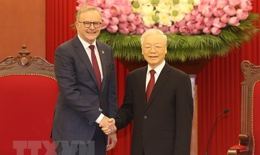 Tổng Bí thư Nguyễn Phú Trọng đã tiếp lãnh đạo Công đảng, Thủ tướng Chính phủ Australia Anthony Albanese. Ảnh: TTXVN