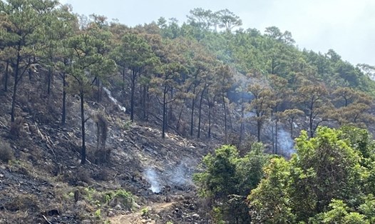Hai người tử vong liên quan đến 2 đám cháy rừng tại Quảng Ninh. Ảnh: Người dân cung cấp