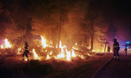 Một đám cháy rừng ở Cebreros, Castilla y Leon, Tây Ban Nha. Ảnh: Xinhua