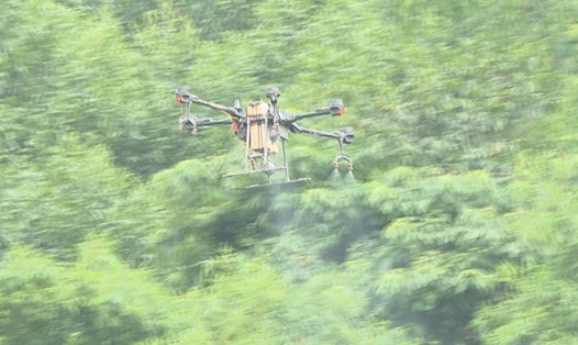 Lực lượng chức năng sử dụng máy bay không người lái để phun thuốc diệt châu chấu tại xã Nghĩa Bình. Ảnh: Hải Đăng