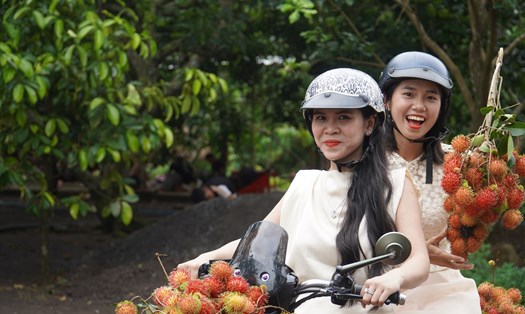 Du khách tham quan chụp hình tại vườn trái cây Út Tiêu tại xã Bình Lộc, TP Long Khánh, tỉnh Đồng Nai. Ảnh: Hà Anh Chiến