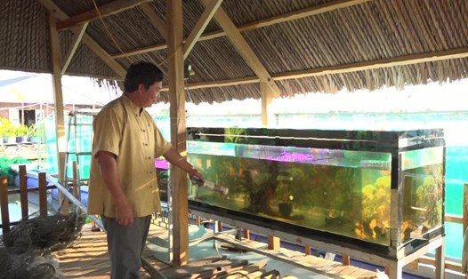 Ông Lý Văn Bon giới thiệu hồ nuôi giống cá có nguy cơ tuyệt chủng ở miền Tây. Ảnh: Phong Linh