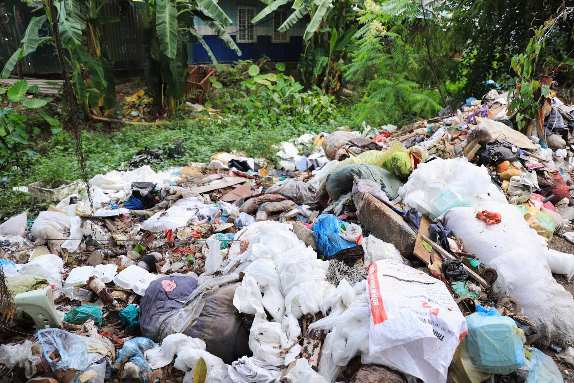 Các loại rác thải sinh hoạt tràn ngập từ lòng kênh đến vệ đường.