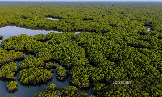 Khám phá hệ sinh thái vườn quốc gia Xuân Thủy. Ảnh: Lương Hà