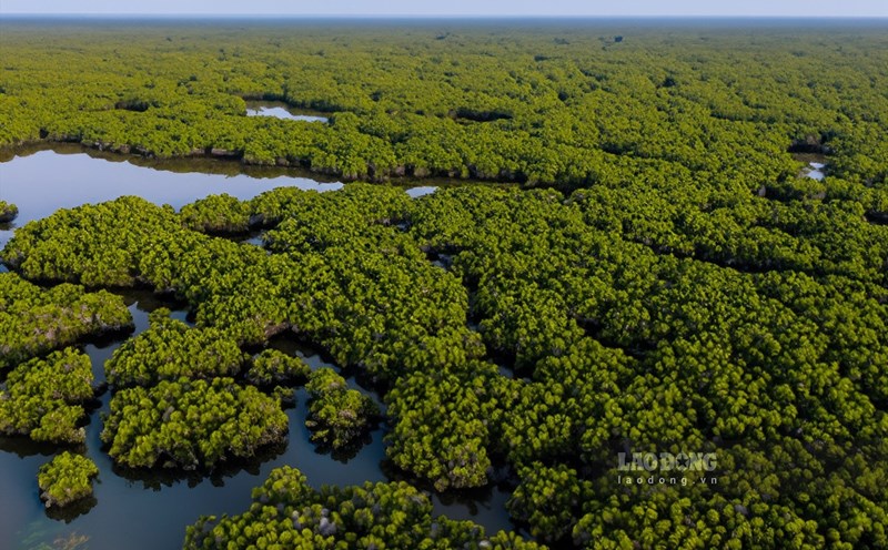 Khám phá hệ sinh thái vườn quốc gia Xuân Thủy. Ảnh: Lương Hà