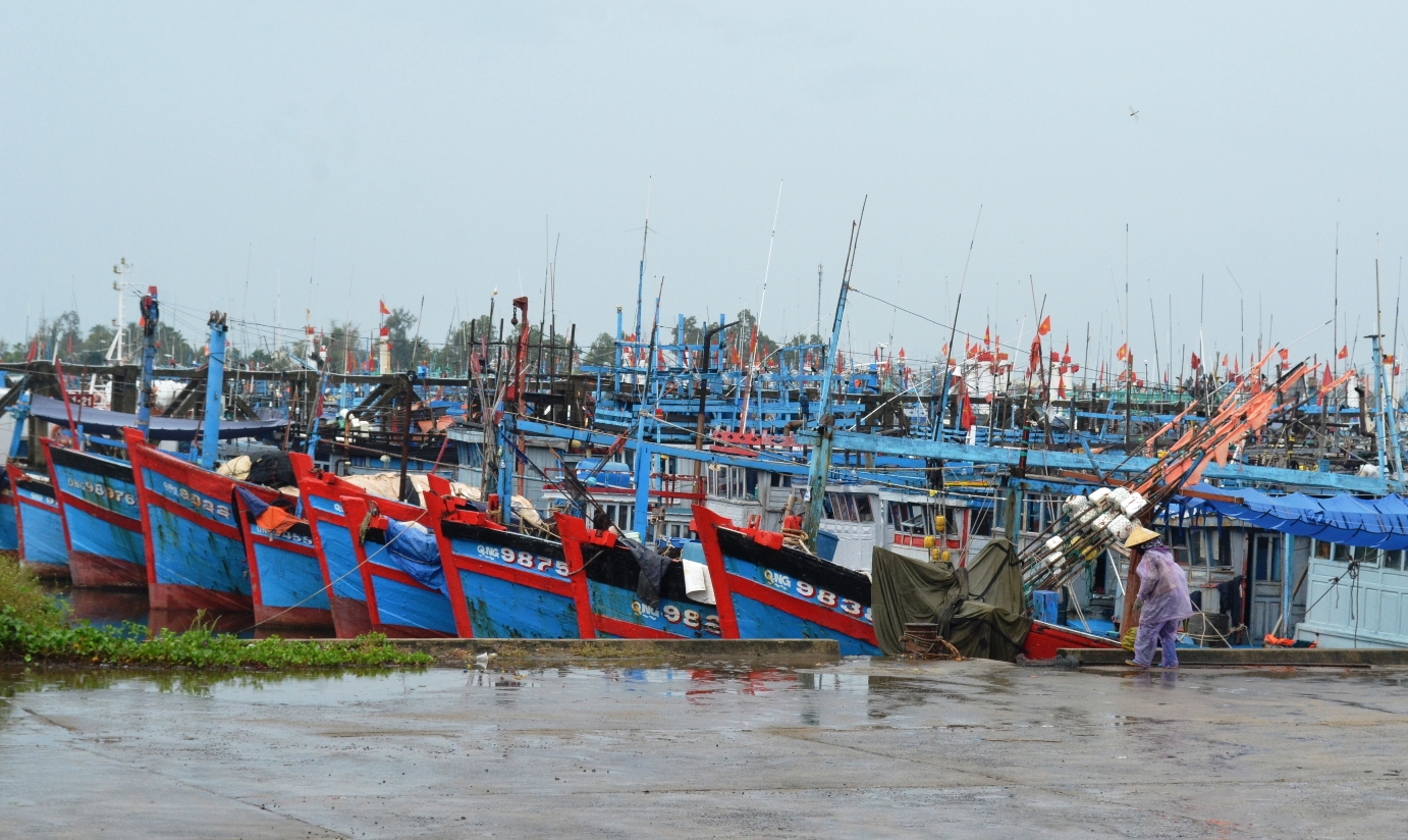 Cảng cá của Quảng Ngãi chỉ đáp ứng được hơn 30% lượng tàu cá toàn tỉnh. Ảnh: Ngọc Viên