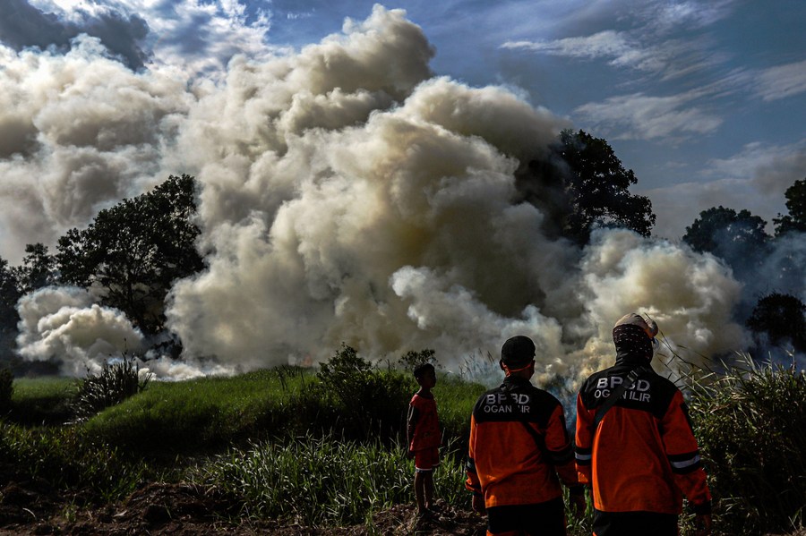 Đám cháy ở Nam Sumatra, Indonesia năm 2020. Ảnh: Xinhua