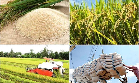 Cơ hội rộng mở cho các doanh nghiệp xuất khẩu gạo của Việt Nam trước tình hình thế giới (hình minh họa). Ảnh: CHINHPHU.VN