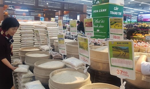 Giá gạo Việt Nam đang dẫn đầu trong nhóm nước xuất khẩu gạo, vượt qua các "ông lớn" Thái Lan, Myanmar, Pakistan. Ảnh: Vũ Long