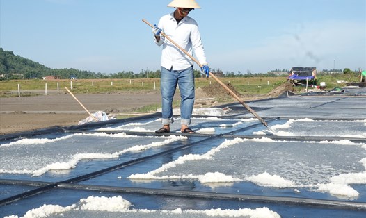 Thu gom muối trên mô hình sản xuất muối sạch trên ô kết tinh trải bạt ở xã Đỉnh Bàn. Ảnh: Trần Tuấn.