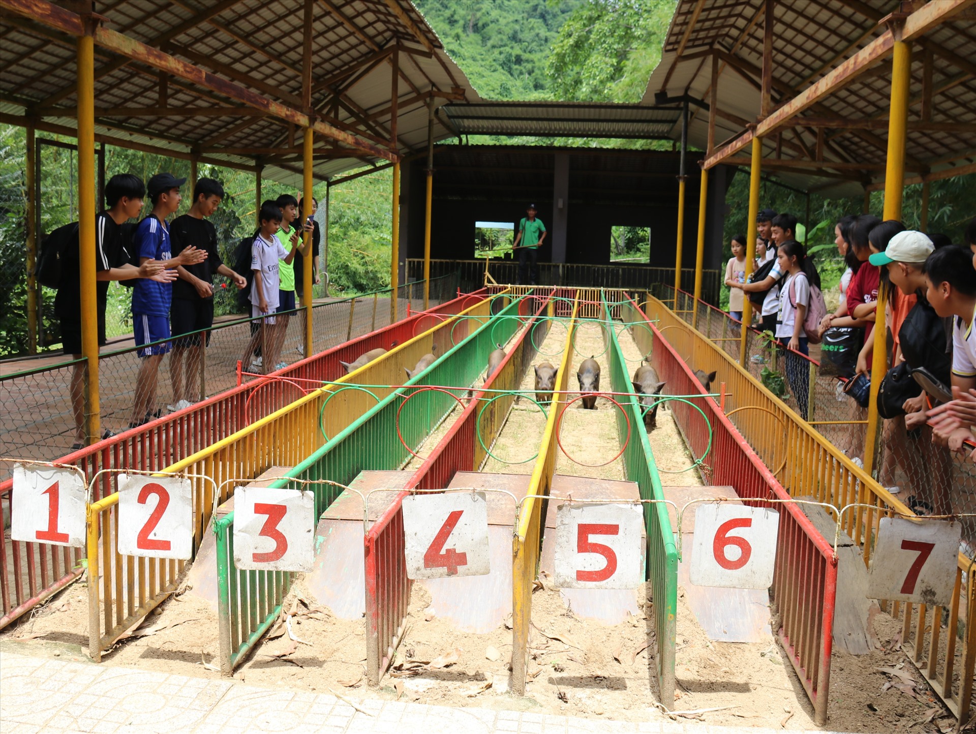 Câu cá sấu, cho cá bú bình, chiêm ngưỡng và cưỡi đà điểu, đua heo...là những dịch vụ đáng để trải nghiệm khi đến đây.