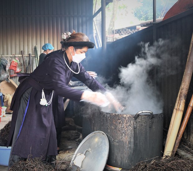 Nấu cây thạch đen để sản xuất sản phẩm thạch đen tại cơ sở sản xuất Lê Thùy (thị trấn Đông Khê, huyện Thạch An). Ảnh: TTXVN