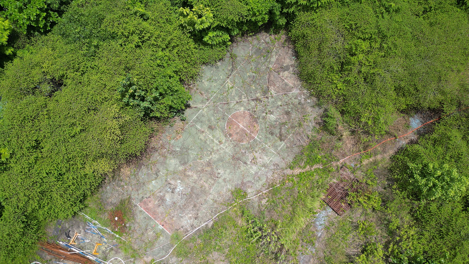 Khu vực sân cầu lông trước đây của Nhà thi đấu Phan Đình Phùng trở nên hoang tàn, cây dại mọc cao quá đầu người.