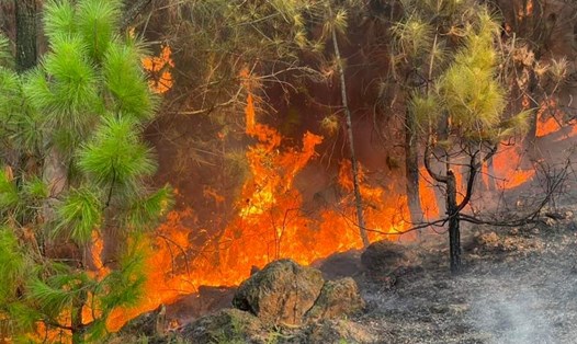 Ngọn lửa dữ dội trong đám cháy rừng ở xã Thượng Tân Lộc (Nam Đàn, Nghệ An). Ảnh: Hải Đăng