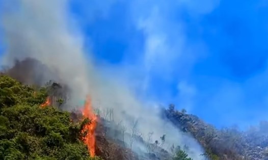 Hiện trường vụ cháy rừng xảy ra tại khu vực núi Hang Đen (thuộc địa bàn phường Nam Sơn, thành phố Tam Điệp, Ninh Bình). Ảnh: Diệu Anh