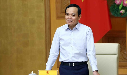 Phó Thủ tướng Chính phủ Trần Lưu Quang phát biểu tại cuộc họp. Ảnh: VGP
